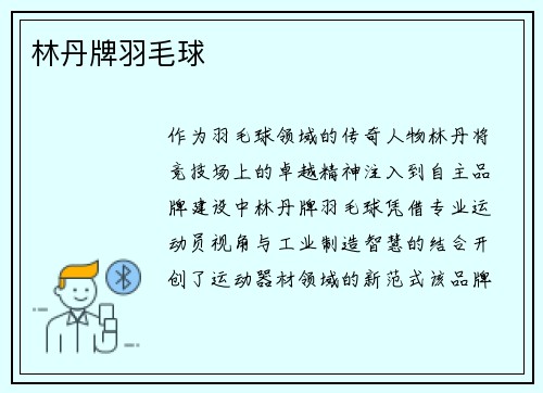 林丹牌羽毛球